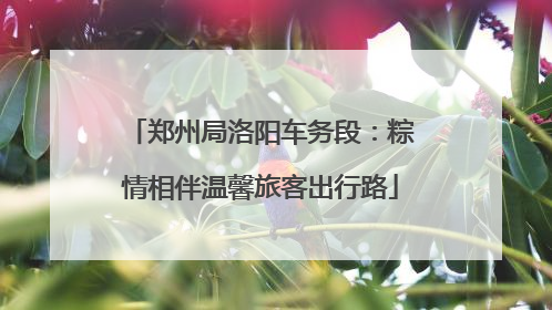 郑州局洛阳车务段：粽情相伴温馨旅客出行路